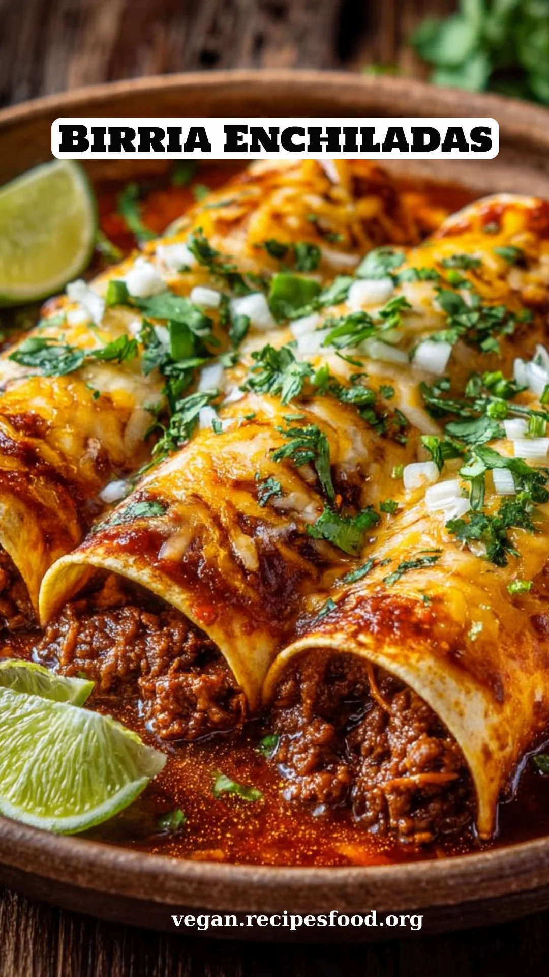 Birria Enchiladas