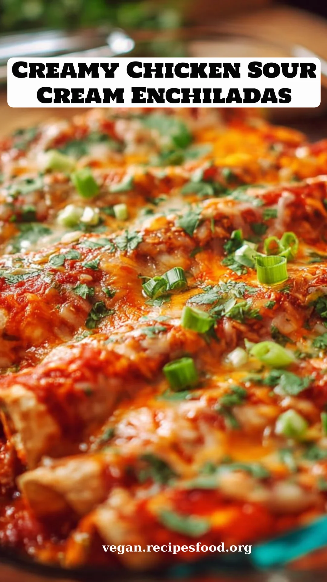 Creamy Chicken Sour Cream Enchiladas