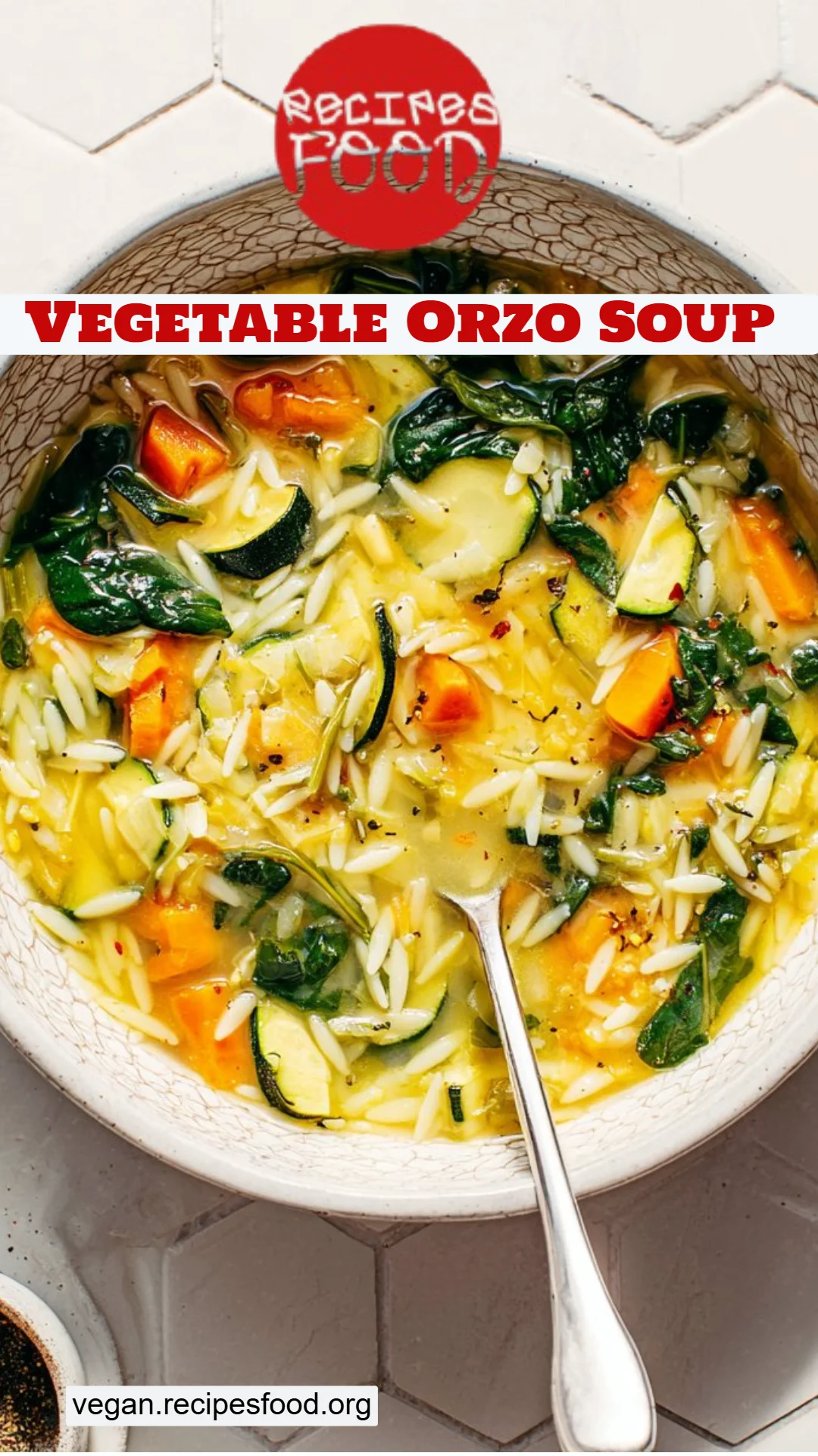 Vegetable Orzo Soup